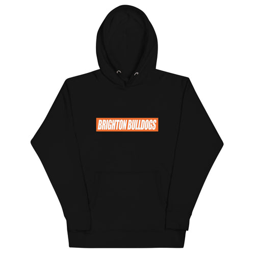 Unisex Hoodie - Brighton FS Logo (print)